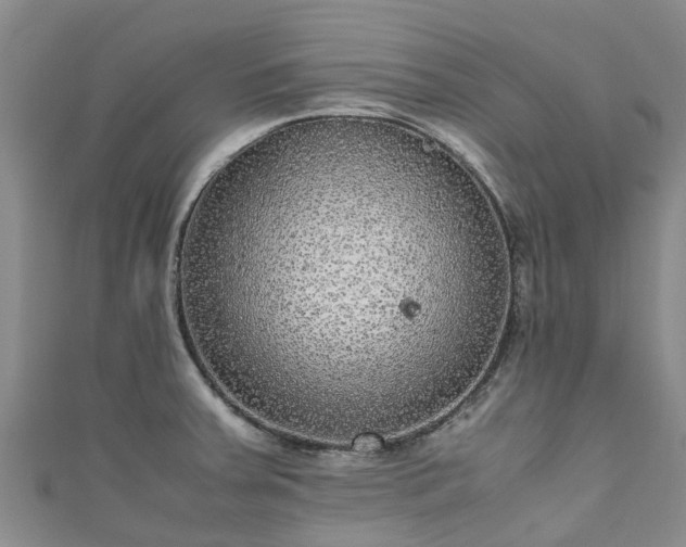 X0000110951379200906261312