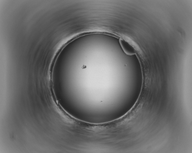 X0000110951380200906261312