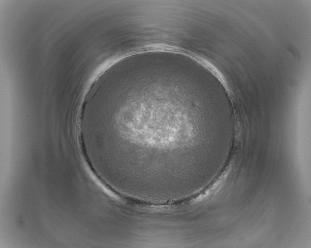 X0000110951381200906261312