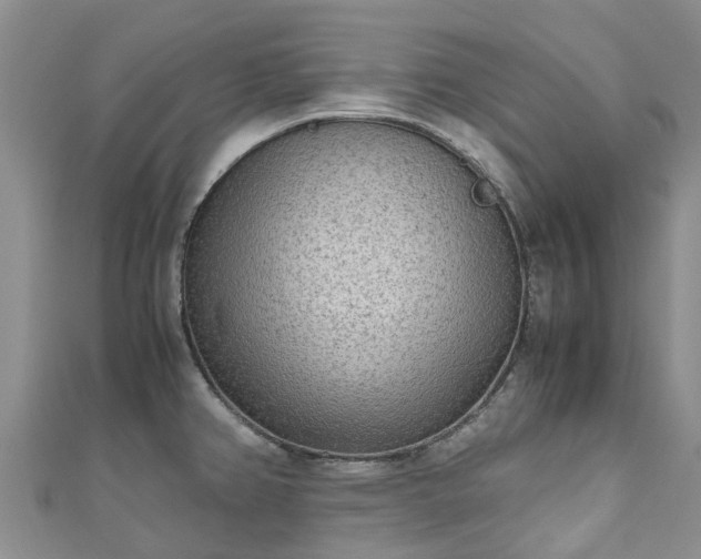 X0000110951382200906261312