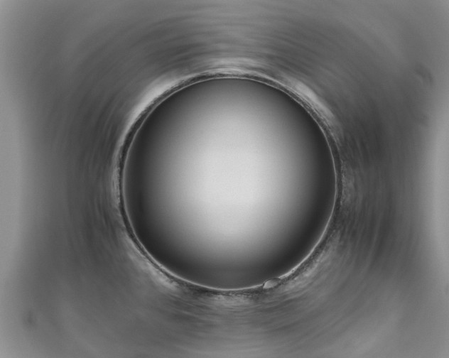 X0000110951384200906261312