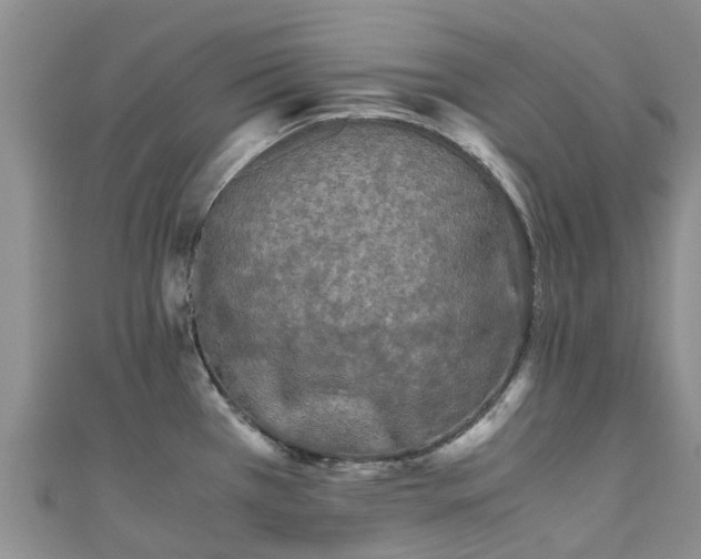 X0000110951385200906261312