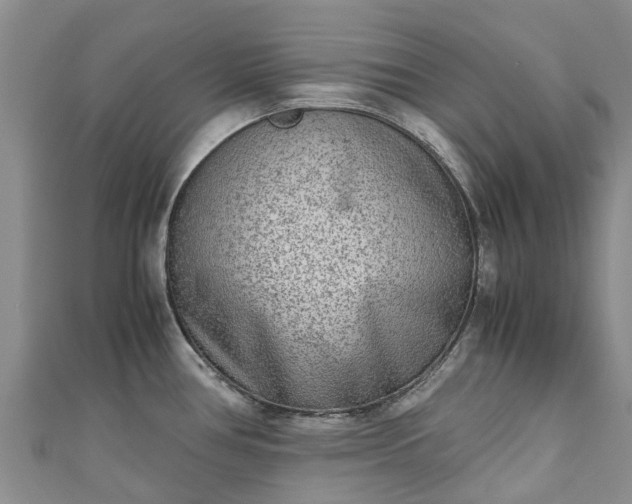 X0000110951386200906261312