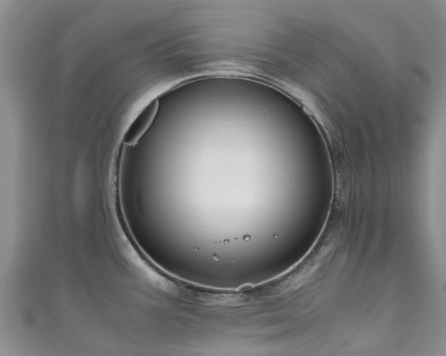 X0000110951387200906261312