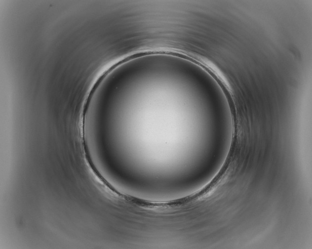 X0000110951388200906261312