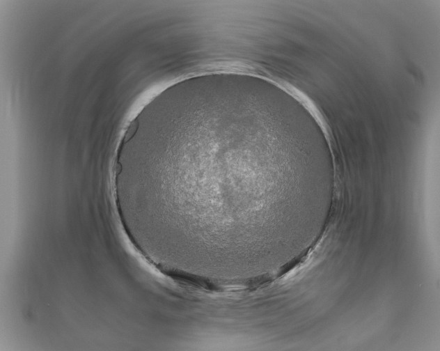 X0000110951389200906261312