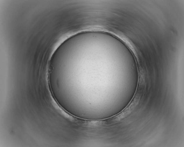X0000110951390200906261312