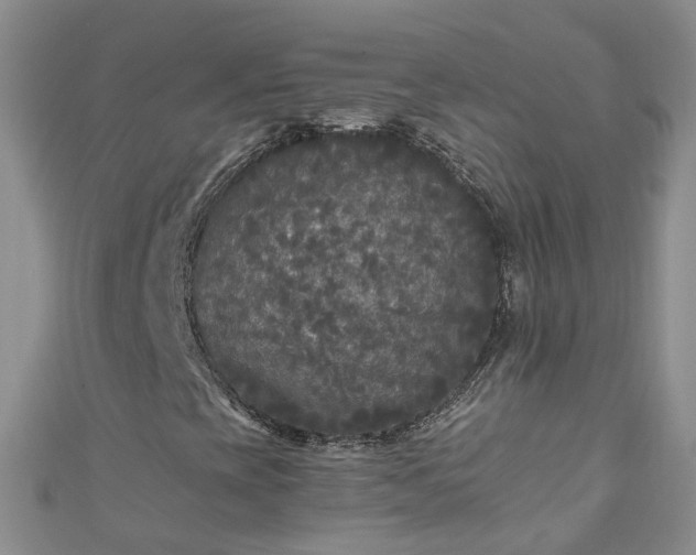 X0000110951393200906261311