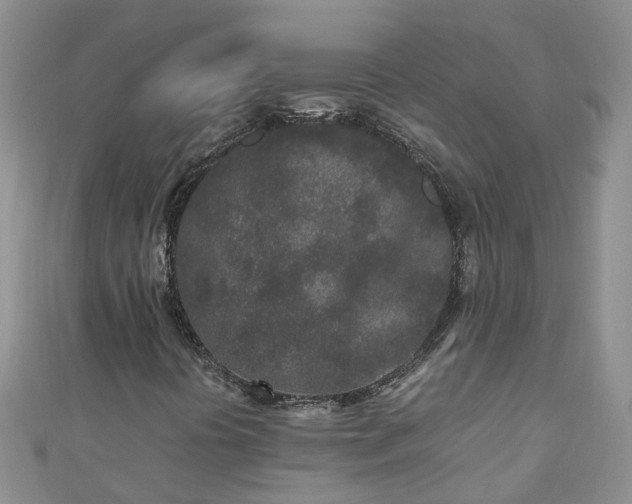X0000110951394200906261311
