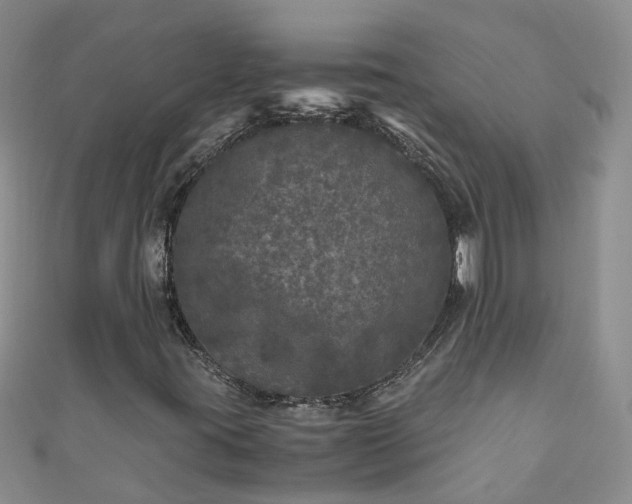 X0000110951395200906261311