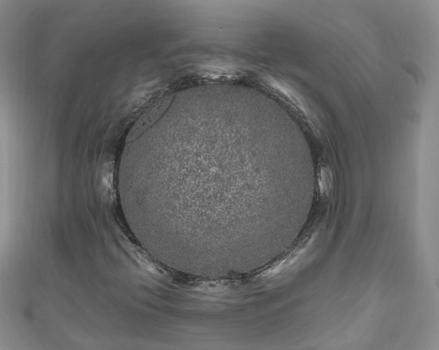 X0000110951396200906261311