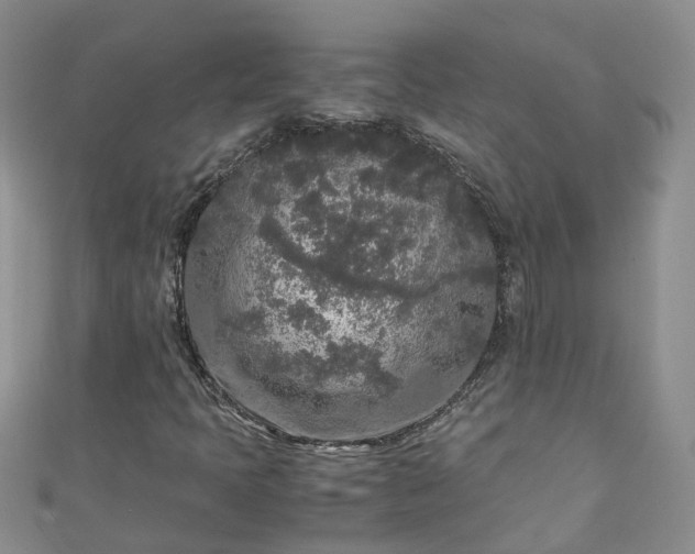 X0000110951397200906261311