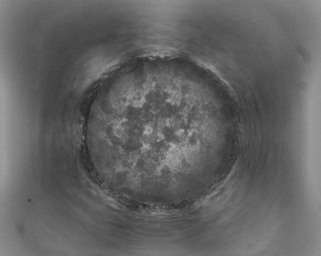 X0000110951399200906261311