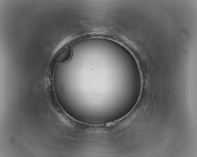 X0000110951400200906261311