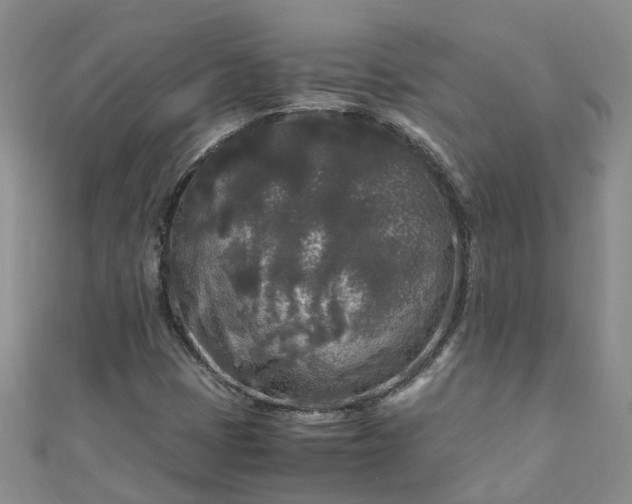 X0000110951401200906261311