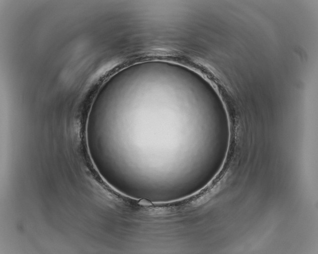 X0000110951402200906261311