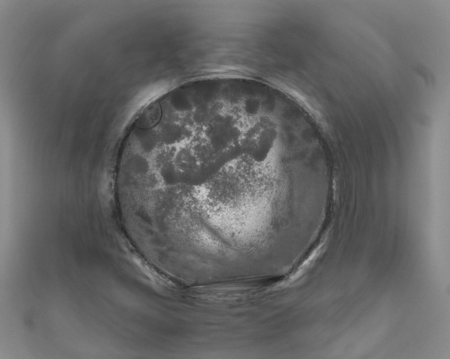 X0000110951405200906261311