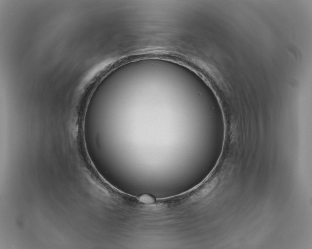 X0000110951406200906261311