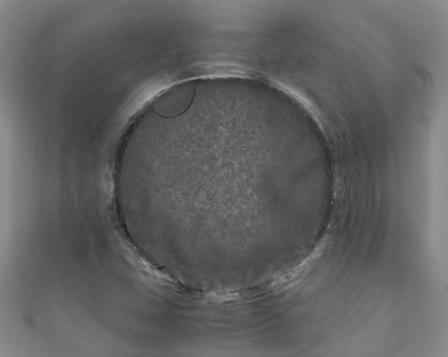 X0000110951407200906261311
