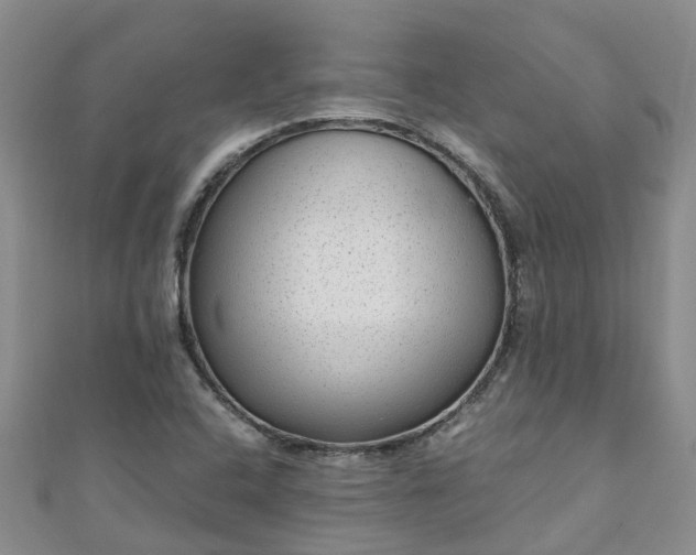 X0000110951408200906261311