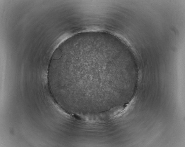 X0000110951409200906261311
