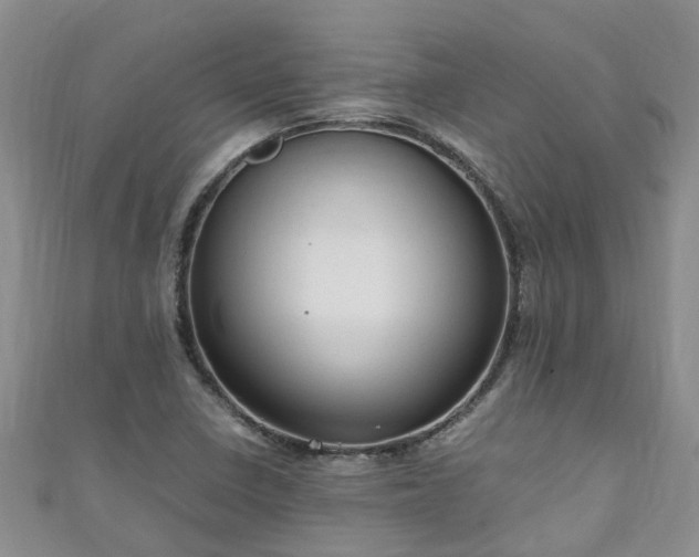 X0000110951410200906261311