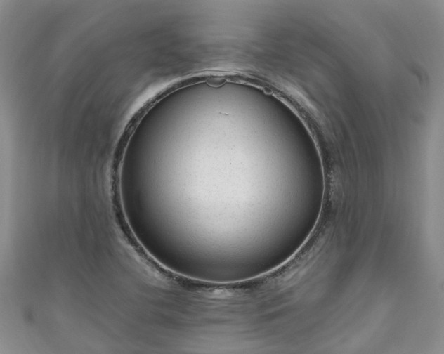 X0000110951412200906261312