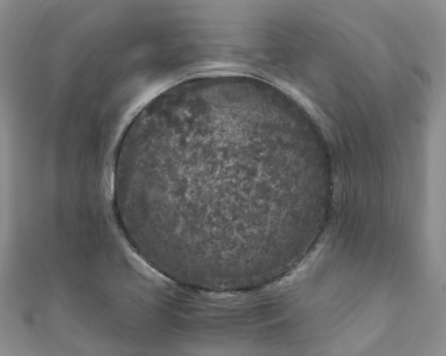 X0000110951413200906261312