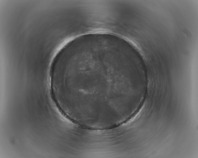 X0000110951414200906261312