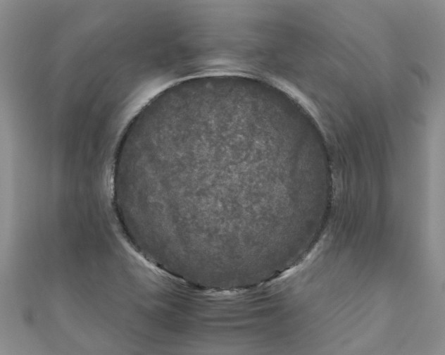 X0000110951415200906261312