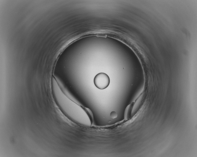X0000110951417200906261312