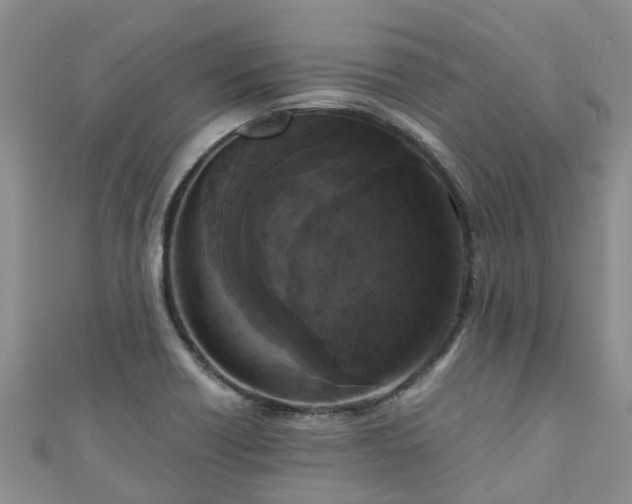 X0000110951418200906261312