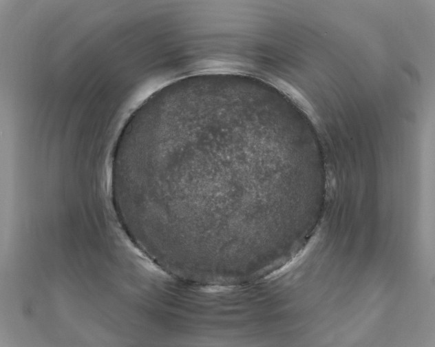 X0000110951419200906261312
