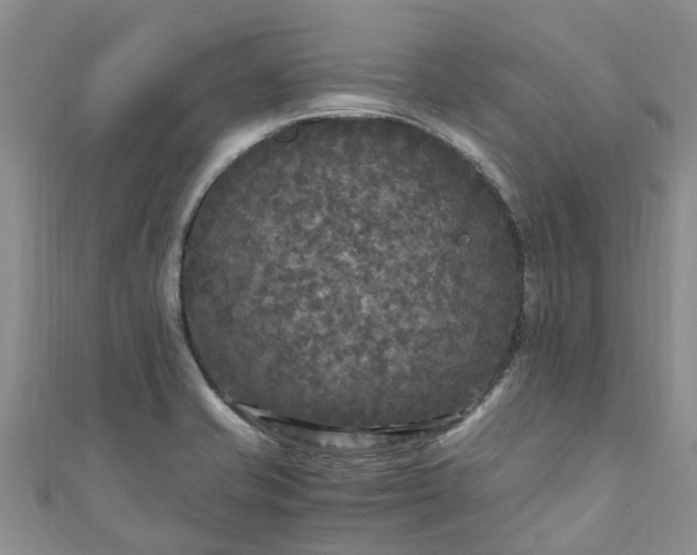 X0000110951421200906261312