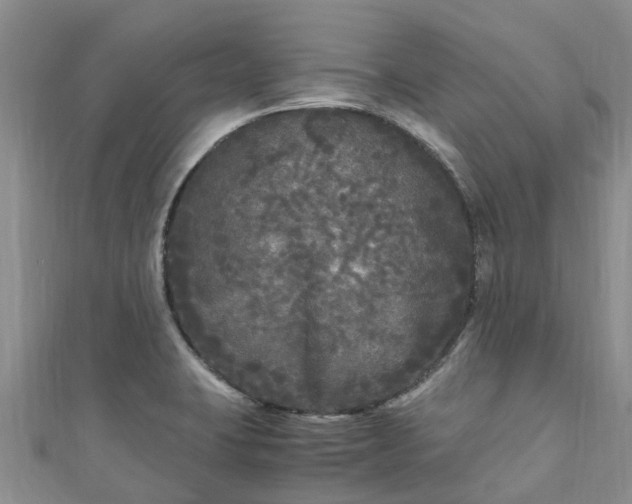X0000110951423200906261312