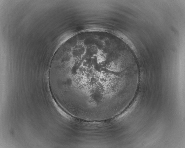 X0000110951425200906261312
