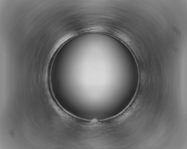 X0000110951426200906261312