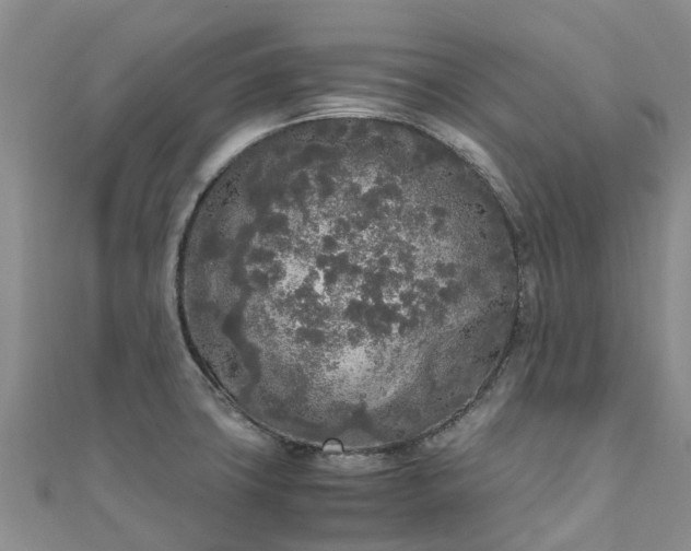 X0000110951427200906261312