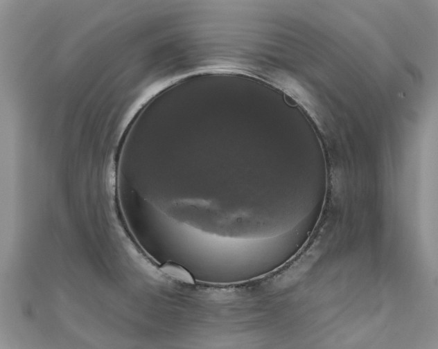 X0000110951428200906261312