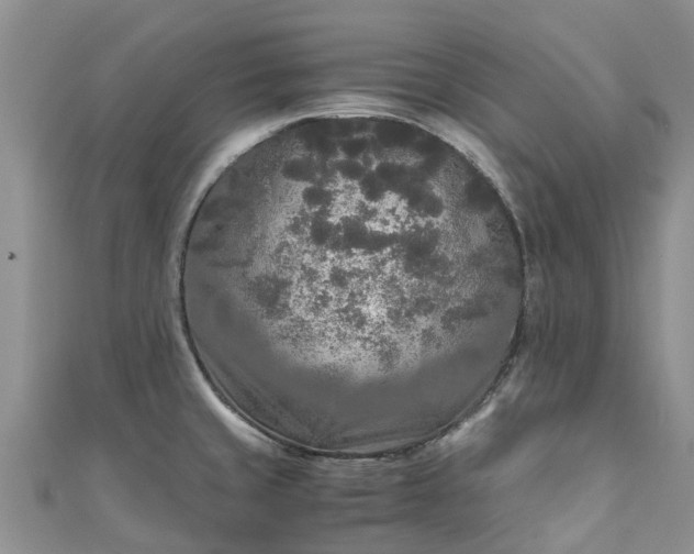 X0000110951429200906261312
