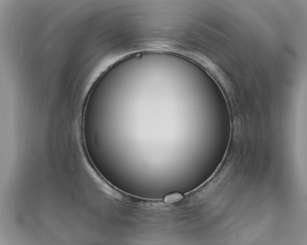 X0000110951432200906261312