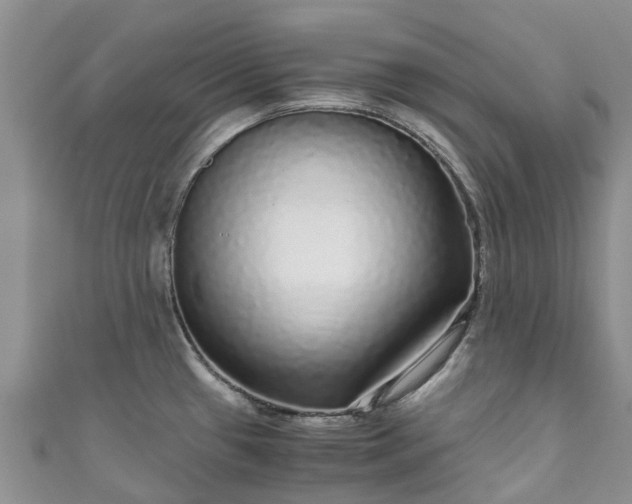X0000110951433200906261312