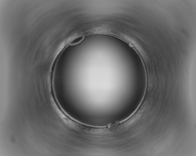 X0000110951434200906261312