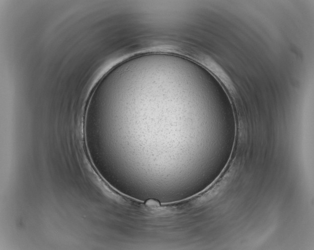 X0000110951436200906261312