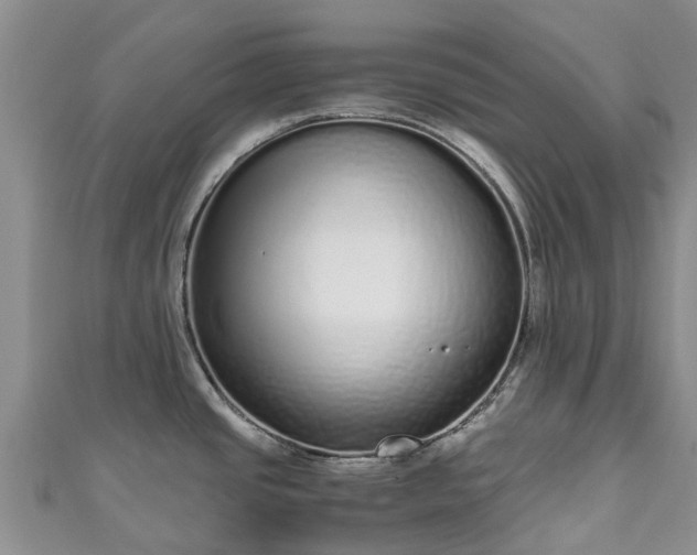 X0000110951437200906261312