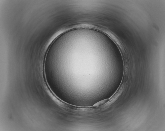 X0000110951438200906261312