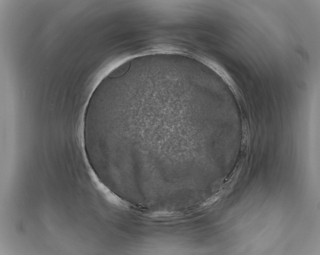 X0000110951439200906261312