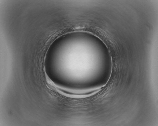 X0000110951441200906261311