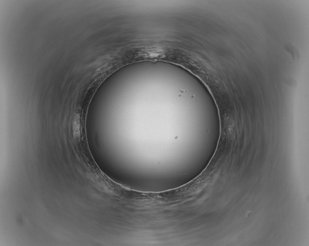 X0000110951442200906261311