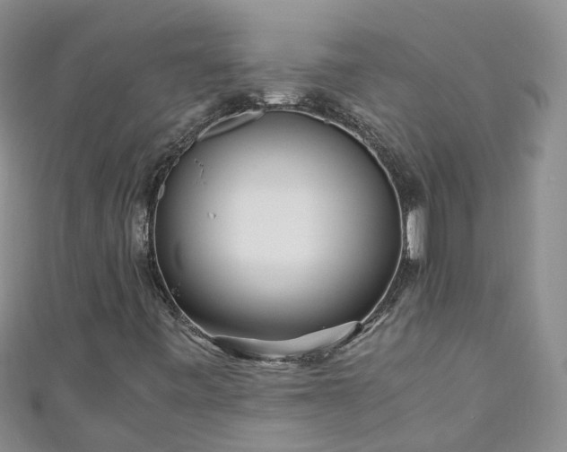 X0000110951443200906261311